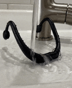Waterproof Headphones 2026 NEW